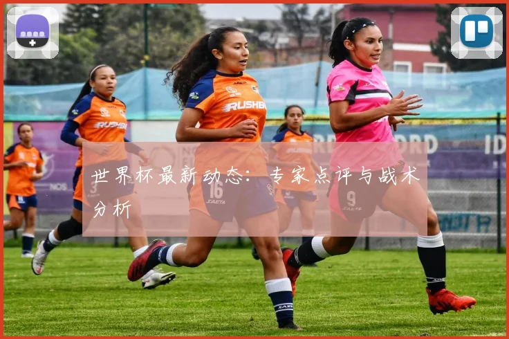 世界杯最新动态：专家点评与战术分析