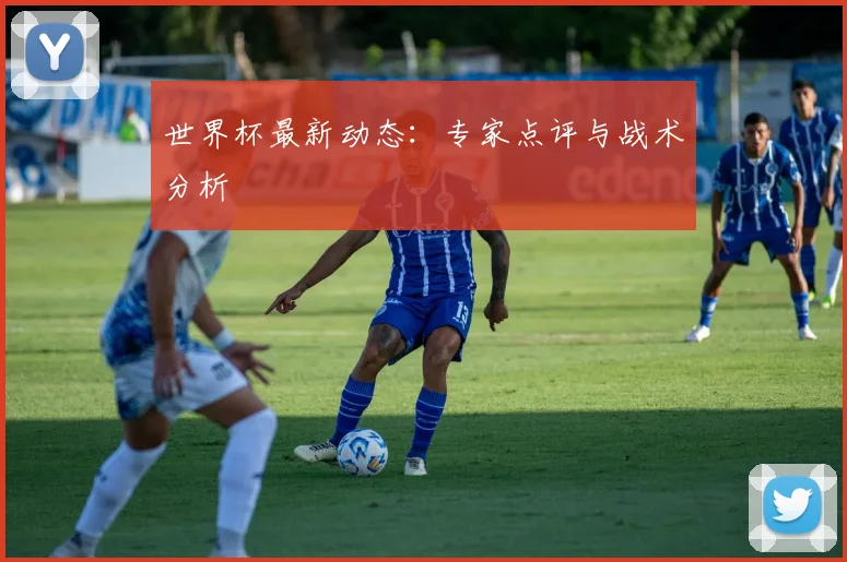 世界杯最新动态：专家点评与战术分析