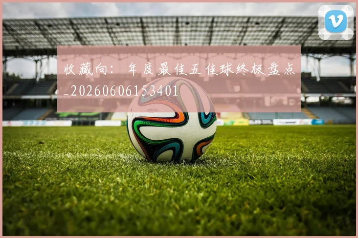 收藏向:年度最佳五佳球终极盘点_20260606153401