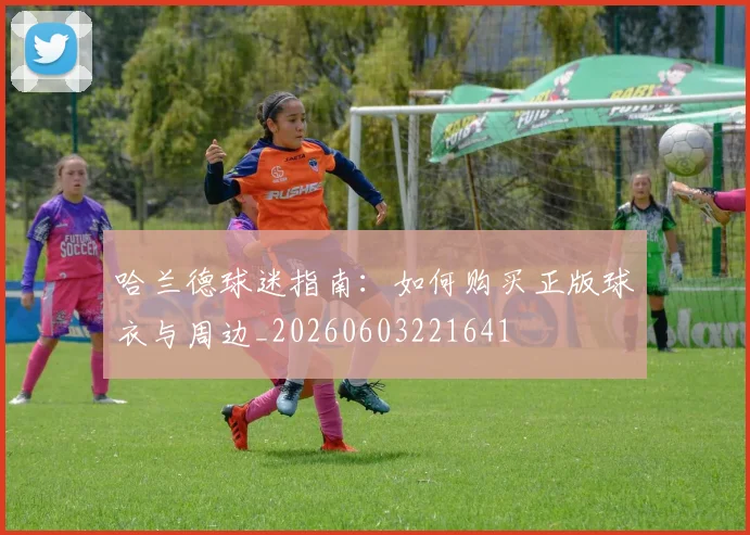 哈兰德球迷指南:如何购买正版球衣与周边_20260603221641
